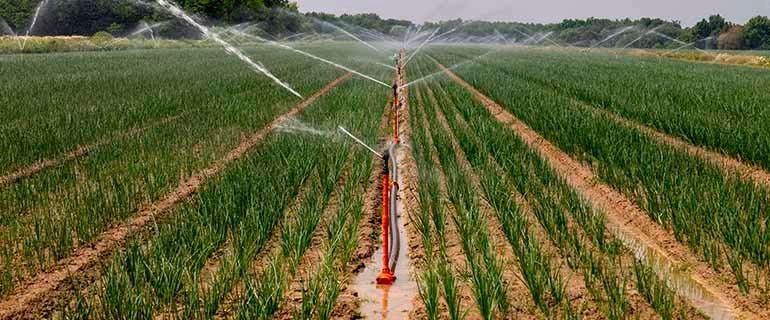 Análisis de agua para riego