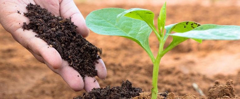 Análisis de compost y enmiendas