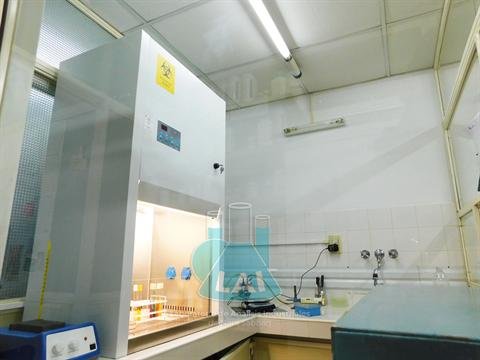 Galería LAI